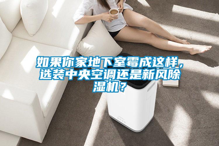 如果你家地下室霉成這樣，選裝中央空調還是新風除濕機？