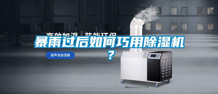 暴雨過后如何巧用除濕機？