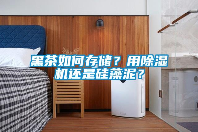 黑茶如何存儲？用除濕機還是硅藻泥？