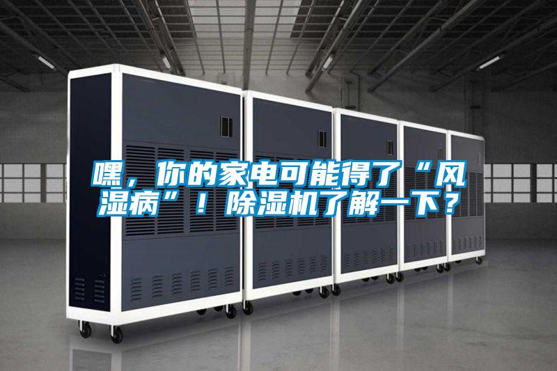 嘿，你的家電可能得了“風濕病”！除濕機了解一下？