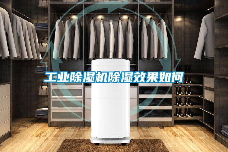 工業除濕機除濕效果如何