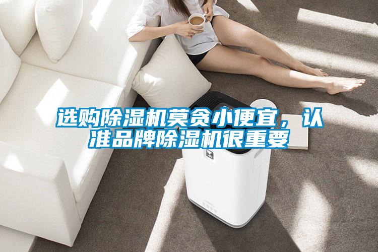 選購除濕機莫貪小便宜，認準品牌除濕機很重要