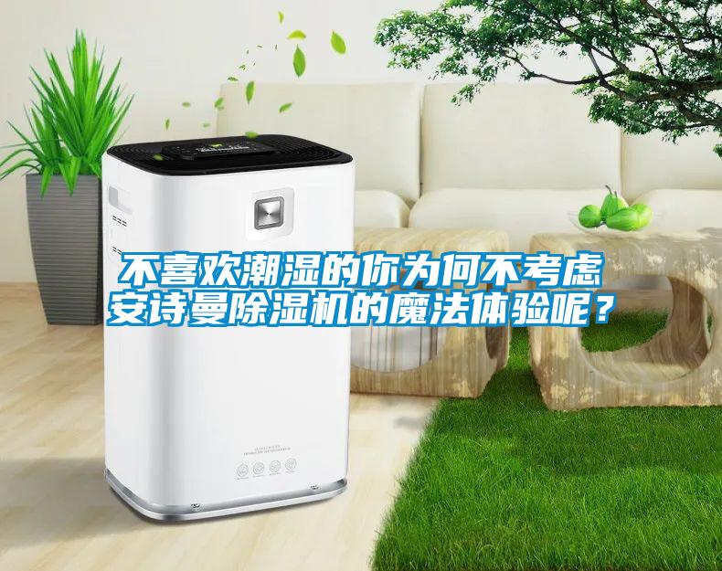 不喜歡潮濕的你為何不考慮安詩曼除濕機的魔法體驗呢？