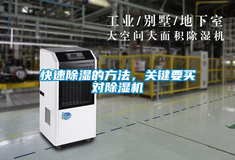 快速除濕的方法，關鍵要買對除濕機