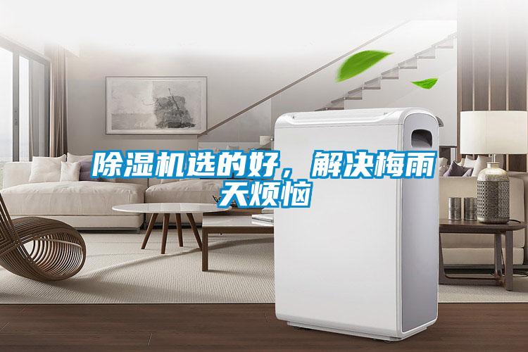 除濕機選的好，解決梅雨天煩惱