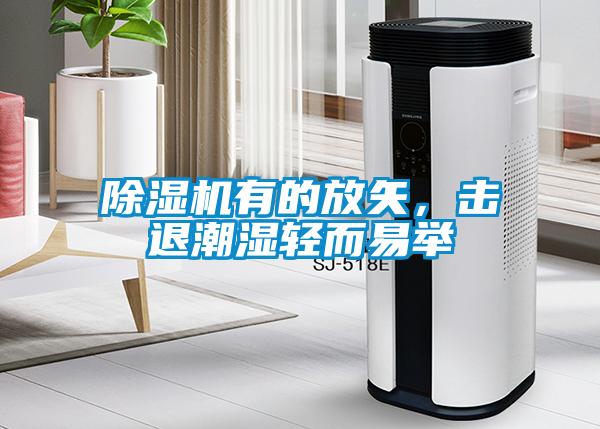 除濕機有的放矢，擊退潮濕輕而易舉