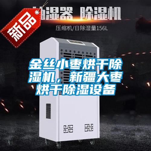 金絲小棗烘干除濕機，新疆大棗烘干除濕設備