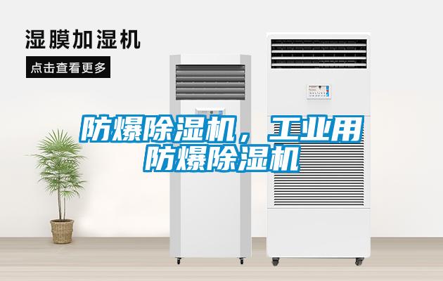 防爆除濕機，工業用防爆除濕機