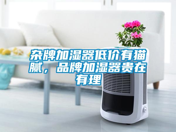 雜牌加濕器低價有貓膩，品牌加濕器貴在有理