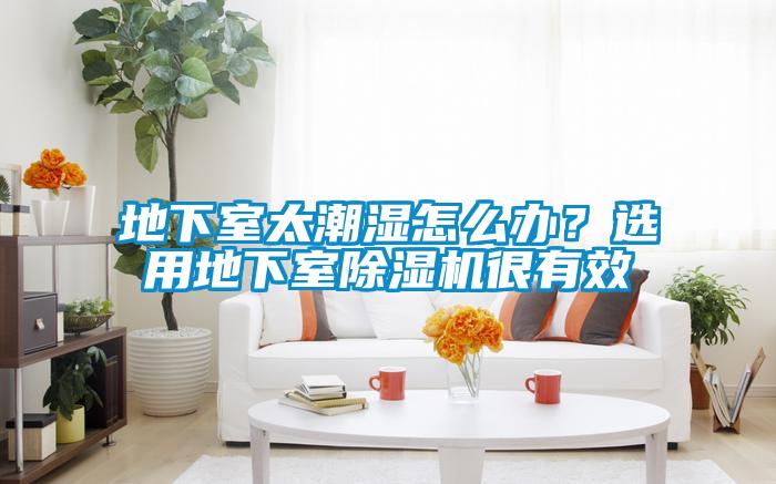 地下室太潮濕怎么辦？選用地下室除濕機很有效
