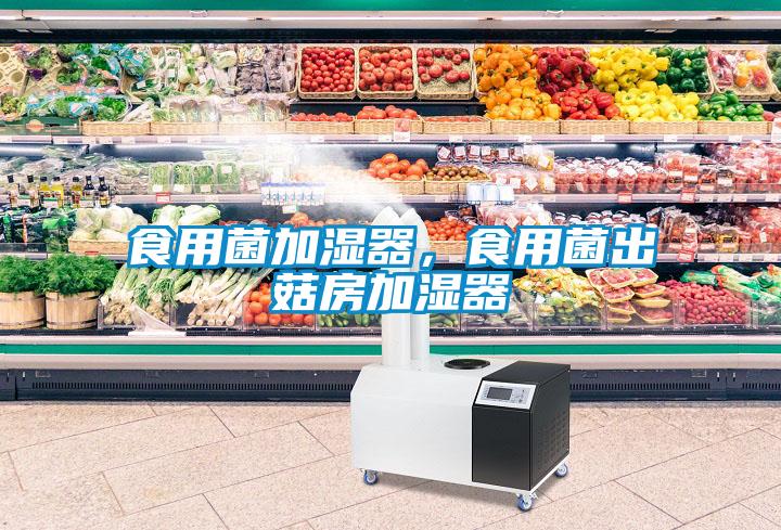 食用菌加濕器，食用菌出菇房加濕器