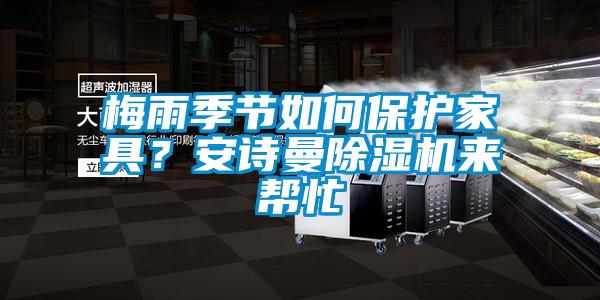 梅雨季節如何保護家具？安詩曼除濕機來幫忙
