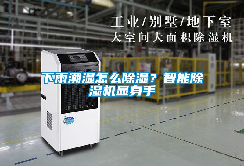 下雨潮濕怎么除濕？智能除濕機顯身手