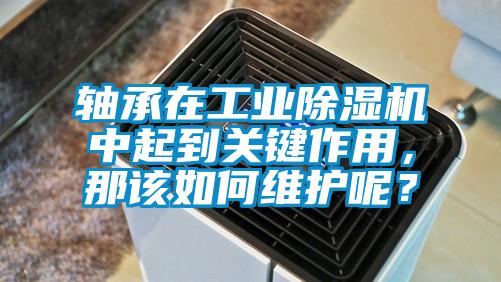 軸承在工業除濕機中起到關鍵作用，那該如何維護呢？