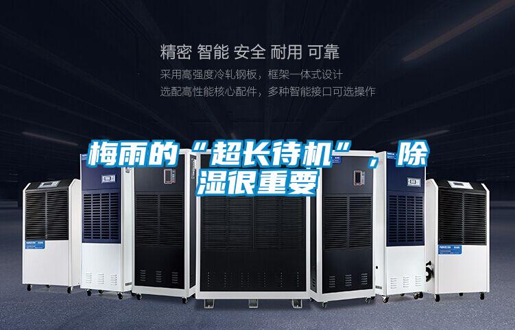梅雨的“超長待機”，除濕很重要