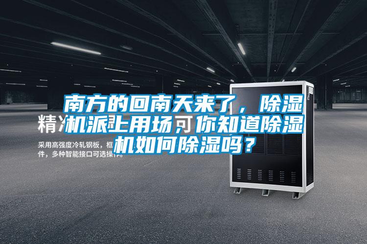 南方的回南天來了，除濕機派上用場，你知道除濕機如何除濕嗎？