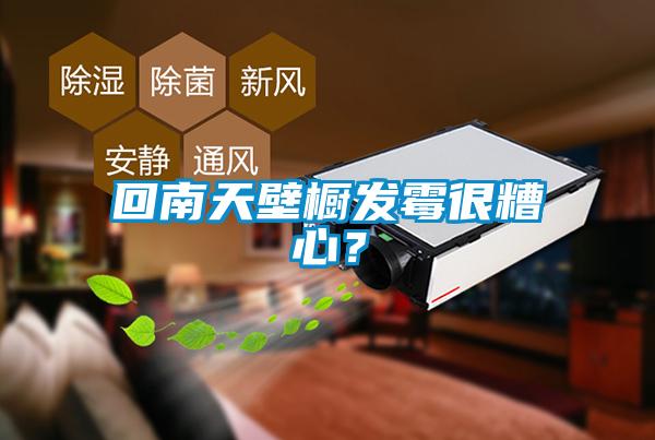 回南天壁櫥發霉很糟心？