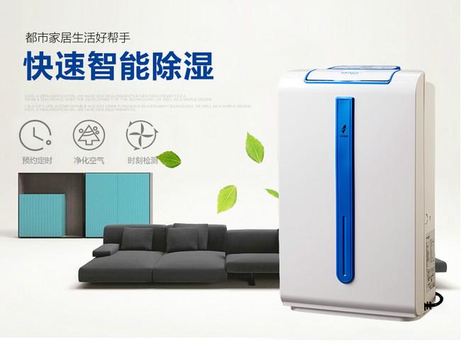 南方進入回南天，多肉植物這樣養才不會有事！