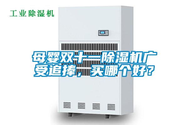 母嬰雙十一除濕機廣受追捧，買哪個好？