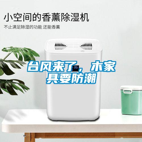 臺風來了，木家具要防潮