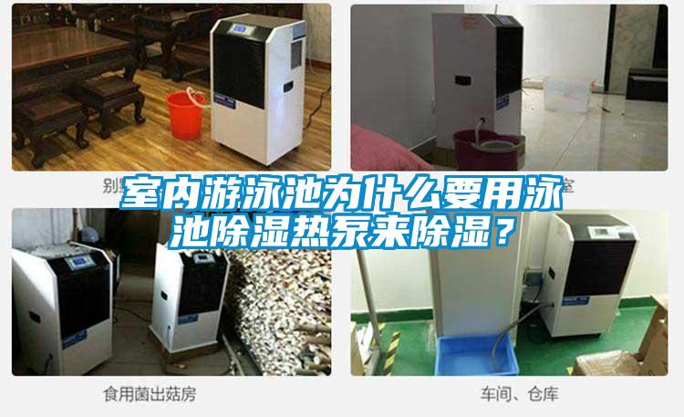 室內游泳池為什么要用泳池除濕熱泵來除濕？