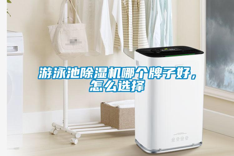 游泳池除濕機哪個牌子好，怎么選擇
