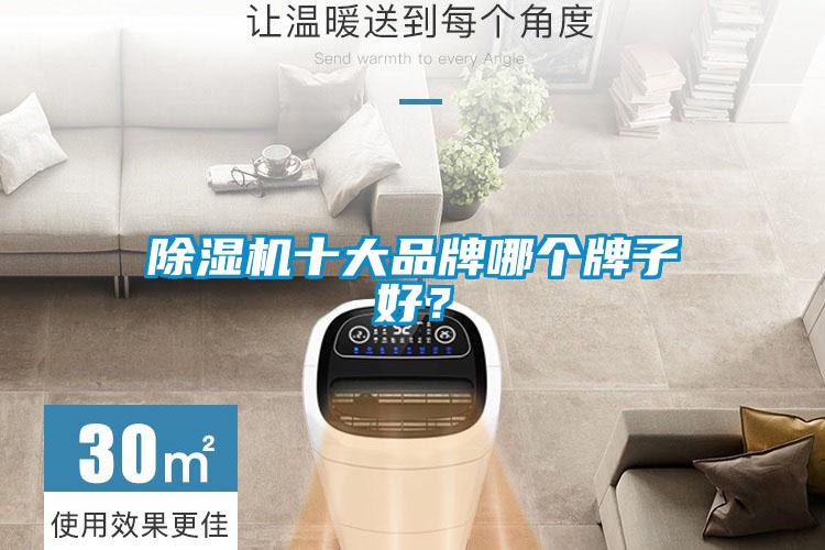 除濕機十大品牌哪個牌子好？