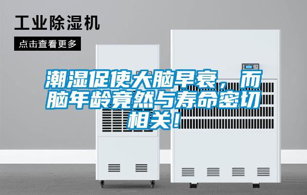潮濕促使大腦早衰，而腦年齡竟然與壽命密切相關！