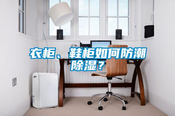 衣柜、鞋柜如何防潮除濕？