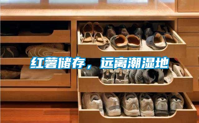 紅薯儲存，遠離潮濕地