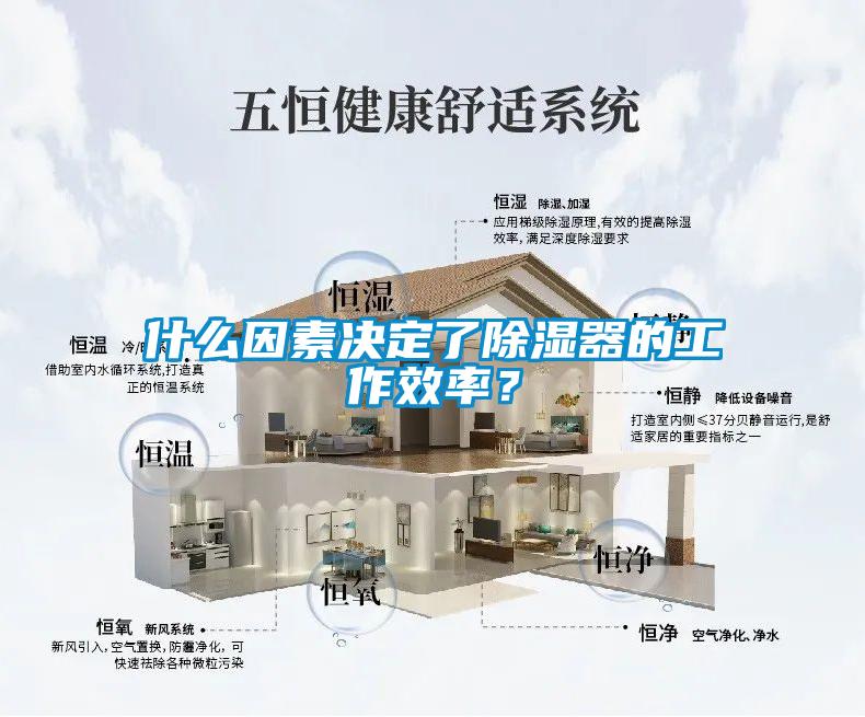什么因素決定了除濕器的工作效率？