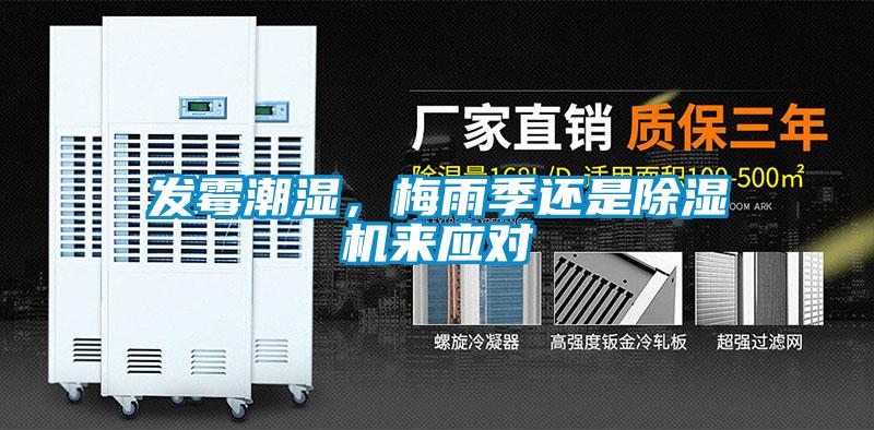 發霉潮濕，梅雨季還是除濕機來應對