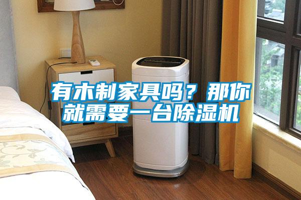 有木制家具嗎？那你就需要一臺除濕機