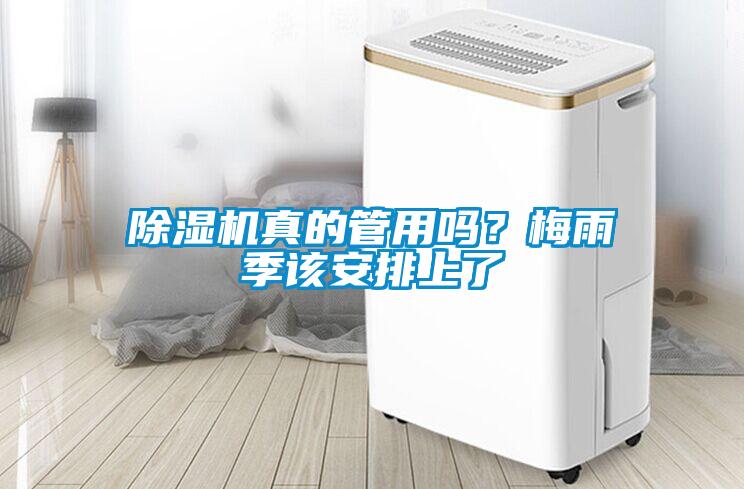 除濕機真的管用嗎？梅雨季該安排上了