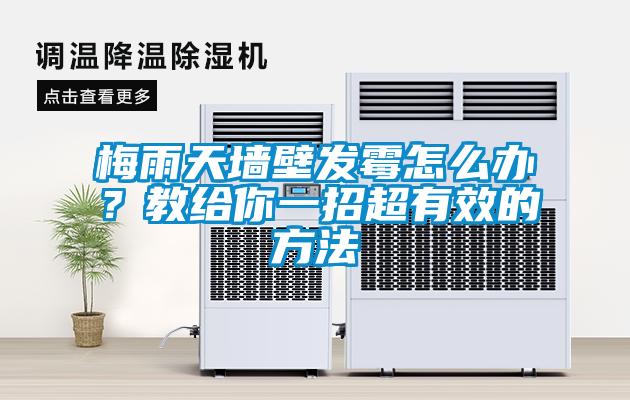 梅雨天墻壁發霉怎么辦？教給你一招超有效的方法