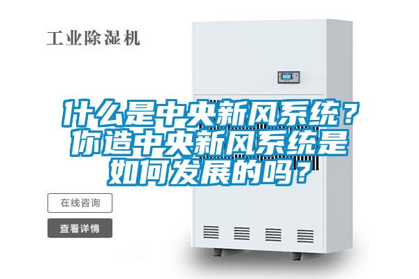 什么是中央新風系統？你造中央新風系統是如何發展的嗎？