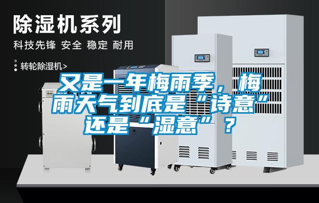 又是一年梅雨季，梅雨天氣到底是“詩意”還是“濕意”？