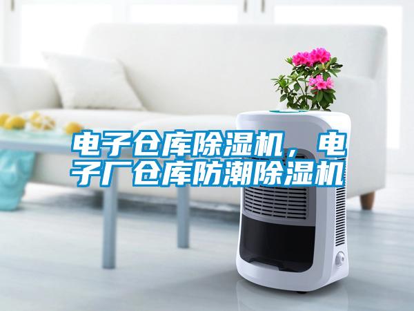 電子倉庫除濕機，電子廠倉庫防潮除濕機