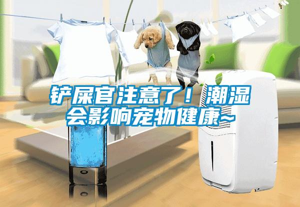 鏟屎官注意了！潮濕會影響寵物健康~