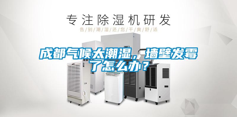 成都氣候太潮濕，墻壁發霉了怎么辦？