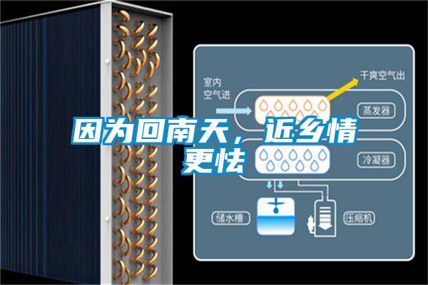 因為回南天，近鄉情更怯