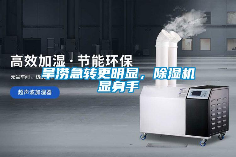 旱澇急轉更明顯，除濕機顯身手