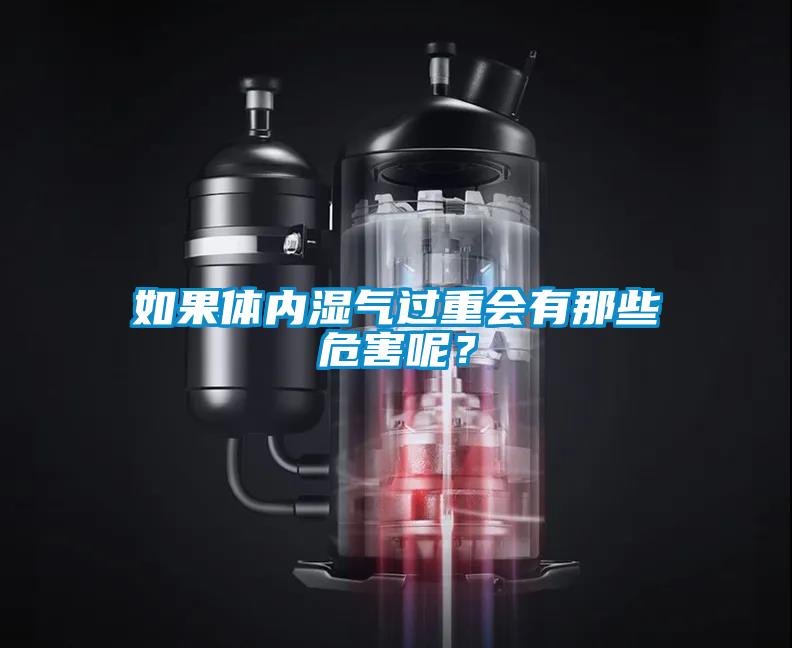 如果體內濕氣過重會有那些危害呢？