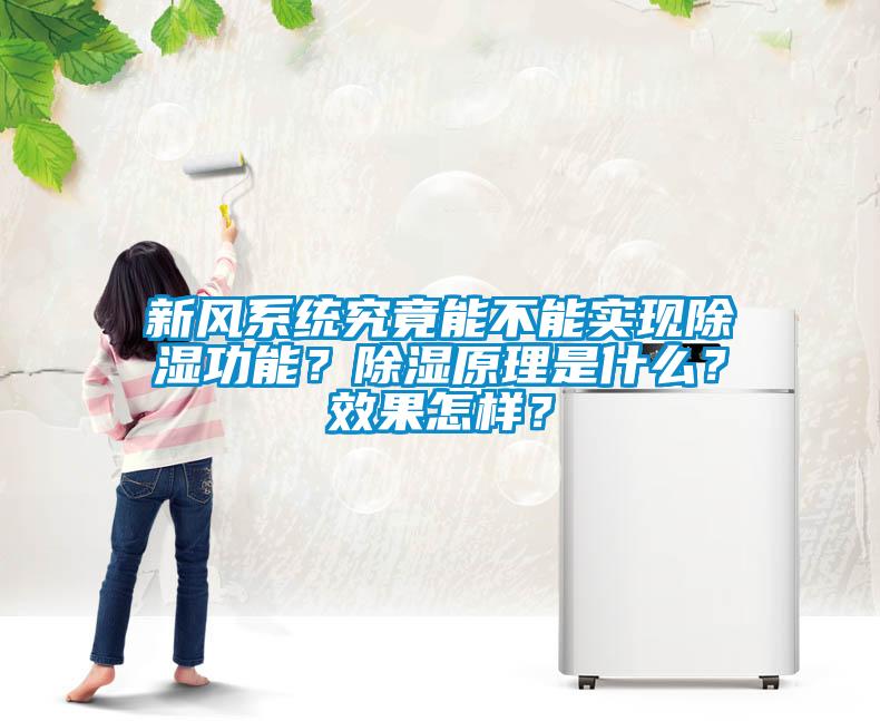 新風系統究竟能不能實現除濕功能？除濕原理是什么？效果怎樣？