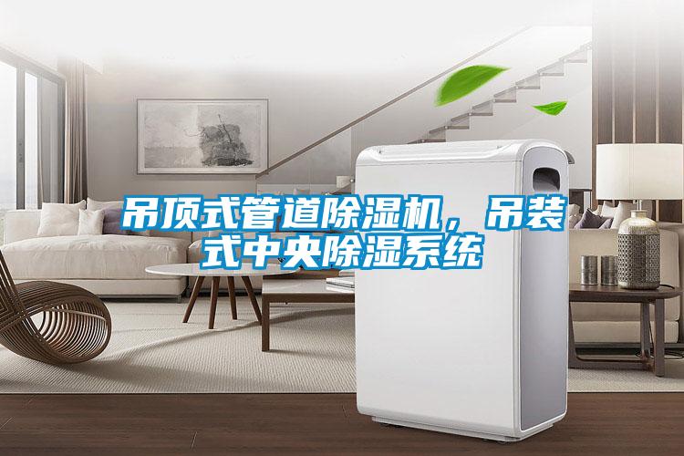 吊頂式管道除濕機，吊裝式中央除濕系統
