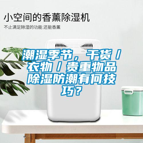 潮濕季節，干貨／衣物／貴重物品除濕防潮有何技巧？