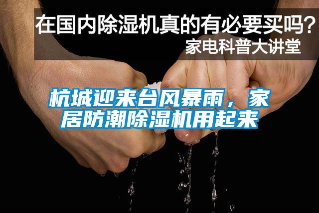 杭城迎來臺風暴雨，家居防潮除濕機用起來