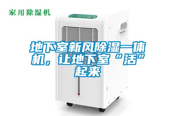 地下室新風除濕一體機，讓地下室“活”起來