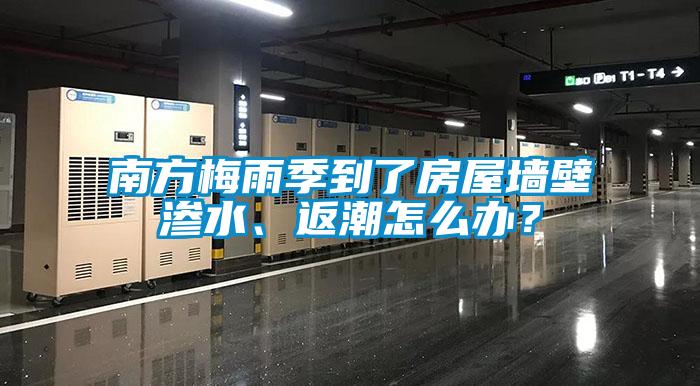 南方梅雨季到了房屋墻壁滲水、返潮怎么辦？
