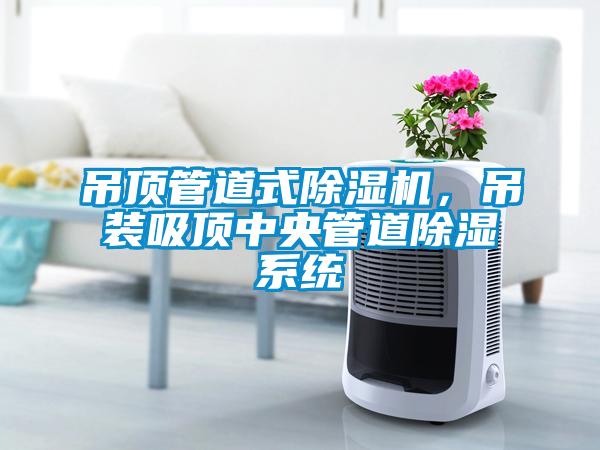 吊頂管道式除濕機，吊裝吸頂中央管道除濕系統